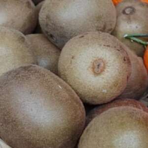 Kiwi jaune sud ouest